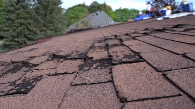 Best Roof Leak Repair  in Oakdale, NY
